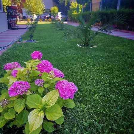 Ferano * ネセバル