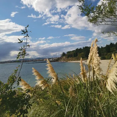 Ferano * Νεσέμπαρ